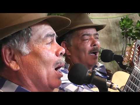 Programa Prosa, Café e Viola nº 517 – Ronaldo Sabino recebe Zé Mulato & Cassiano “A PRIMEIRA CHUVA”