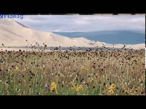 Загийн алим киноны дуу   МУГЖ С Жавхлан