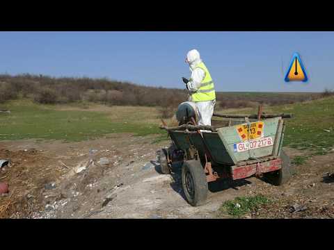 În plină epidemie, gunoiul se aruncă pe câmp sub ochii autorităților | Băneasa, GL, 9 apr 2020