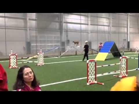 Zest Standard Cheswick