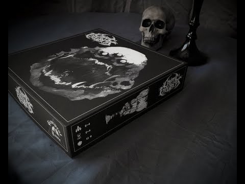 Cryptic Explorers Review