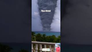 ? mog  ??❤️❤️❤️