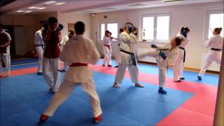 preview picture of video 'Karate-Kumite Kaderlehrgang für Deutsche Meisterschaft'