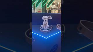 Super Dog