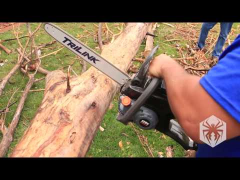 download lagu mp3 mp4 Redback Chainsaw, download lagu Redback Chainsaw gratis, unduh video klip Redback Chainsaw