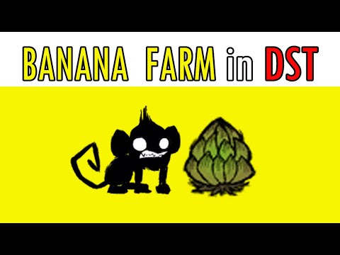Banana Farm in DST (+nightmare fuel,morsel,beard farm)