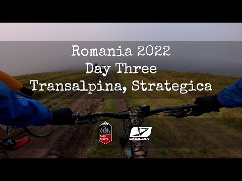 Tomasz Kluj and AlkoActiveTeam