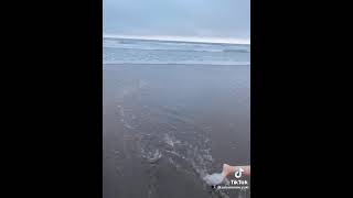 Tik Tok おっきい雪見だいふく弾ませるえちおんな