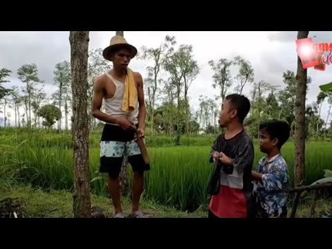 gara-gara-jamur-di-curi-udin-komedi-lucu