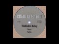 Vladislav Delay - Ranta