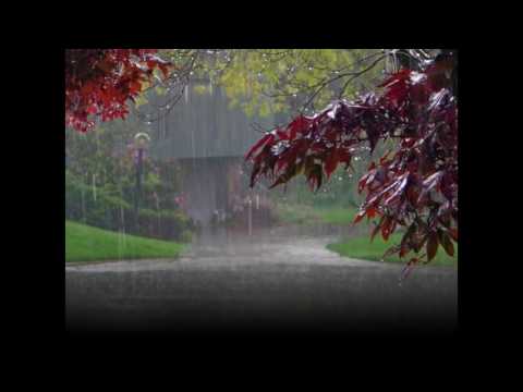 Mưa lạnh chiều nay - Băng Tâm