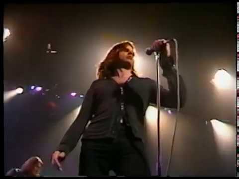 The Cruel Sea - The Honeymoon is Over (live)