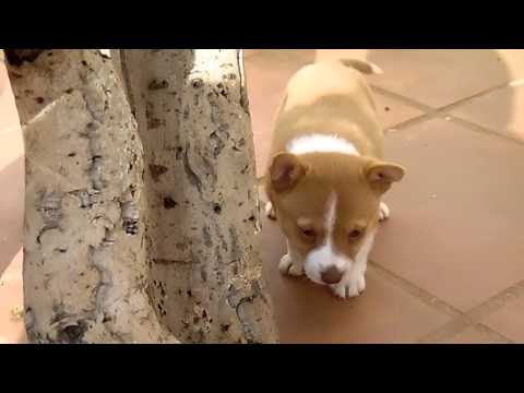 download lagu mp3 mp4 Ppppl, download mp3 Ppppl free downloadn, video klip Ppppl