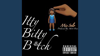 Itty Bitty Bitch Music Video