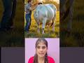 Yeh Thik H Shortvideos