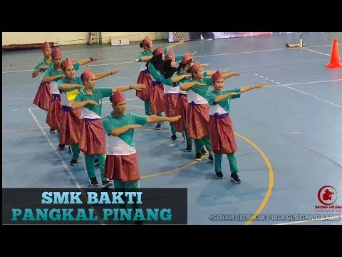 Video 1
