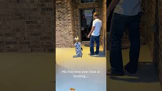 Trick or treating 🎃👶🥳#toddler #halloween #happy #funny #cute #youtube #fyp #foryou