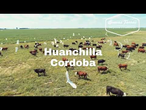 Campo en VENTA Huanchilla, Córdoba, Argentina.