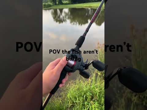 #audio #dance #beats #fishing