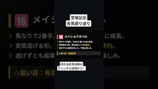 メイショウタバル　宝塚記念　振り返り