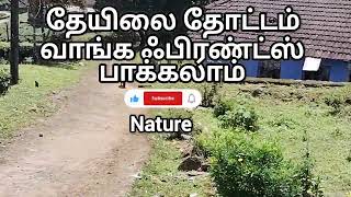 தேயிலைதோட்டம் 🙏❤️👌👍#shortsfeed#viralvedio#youtubeshorts#trendingshorts#youtubevedios#tamil#shorts#yt