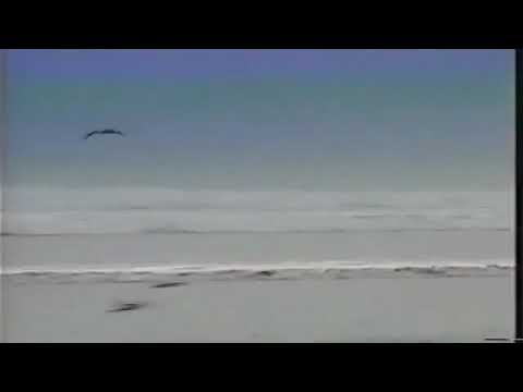 SALSA BAUL VENEZUELA MIX VOL. 1 DJ ALVARO | HECTOR EL DEL BAUL