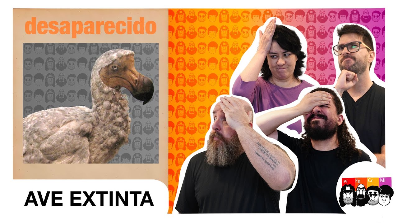 Você sabia da TRÁGICA HISTÓRIA DO DODÔ?