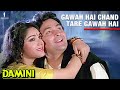 Gawah Hai Chand Tare | Damini | Full Song | Kumar Sanu, Alka Yagnik | Rishi Kapoor, Meenakshi