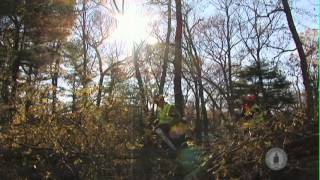 Smithtown Report: Sandy Recovery