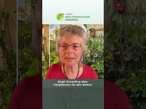 Kräuterheilkunde-Kongress beginnt: Naturmedizin im Fokus