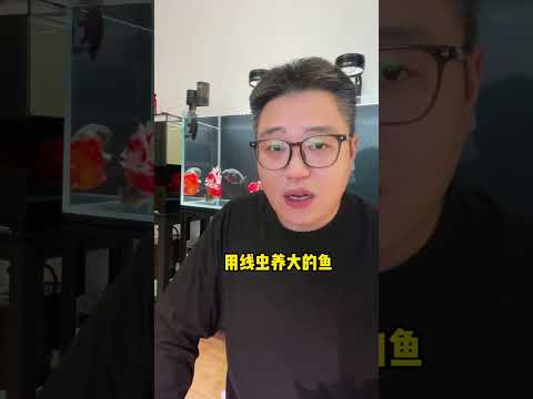 Ultimate Guide to Natural Goldfish Foods - Feed Your Fish Right