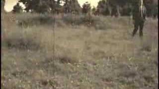 Could Tell A Love By-Bless The Fall