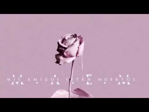 Ele a el dominio ❌ Kartel Montana❌ Mis Amigos Estan Muerto