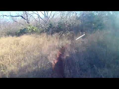 11-26-2023 Draper Black trail