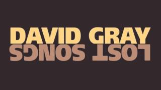 David Gray - "Tidal Wave"