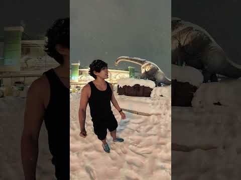 youtube-ガジェ・趣味記事2026/01/23 18:58:02