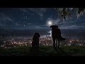 Tonight Was Made For Love Inspired By Lady And The Tramp