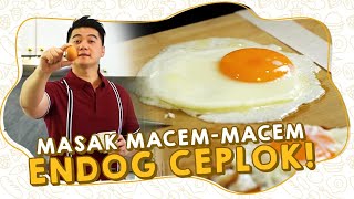 Download lagu MASAK MACEM-MACEM ENDOG CEPLOK! mp3 Download lagu MASAK MACEM-MACEM ENDOG CEPLOK! mp3