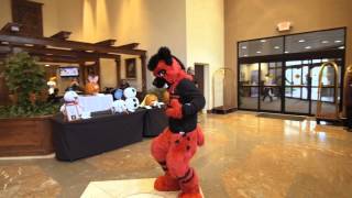 Furpocalypse 2014 Con Video