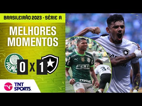TIQUINHO CRAVA, VEIGA PERDE PÊNALTI E FOGÃO SEGUE LÍDER! | PALMEIRAS 0 X 1 BOTAFOGO | BRASILEIRÃO
