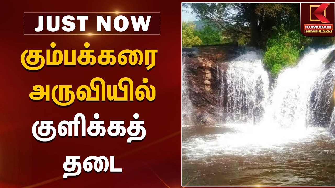 கும்பக்கரை அருவியில் குளிக்கத் தடை | Kumbakkarai Falls | Kumudam News