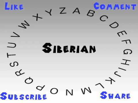 How to Say or Pronounce Siberian