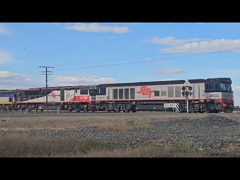 6AM9 SCT up "Dark Ghost" (CSR SCT CF, 71P), Penfield to Laverton, 1805, 14/11/25, Lubeck VIC 