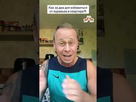 Как за два дня избавиться от ￼ муравьёв в квартире?!￼#лайфхаки #обучение #советы #рек#bobbygrant690