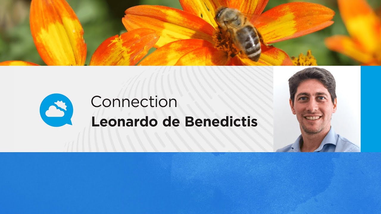 youtube video id=xeOaiI-go9k