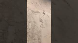 Betonart brüt beton uygulama kalekim betonart beton duvar uygulama