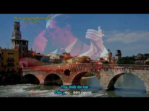 Mê hoặc tiếng phong cầm (Ole' Guapa) Sheet - Thái Hòa