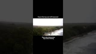 Download lagu The spirit carries on. #shorts #shortsmusic #dreamtheater #lyrics #music #nature #story #musicvideo mp3