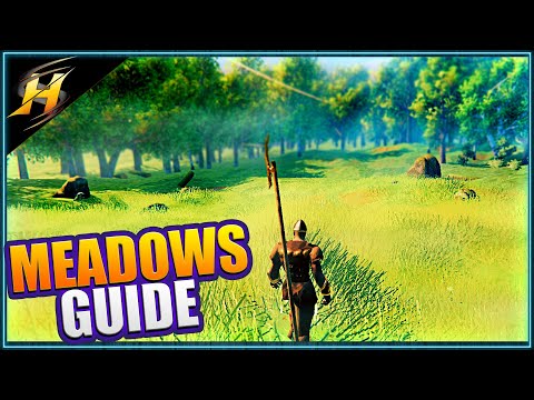 Valheim Biome Guide | The Meadows