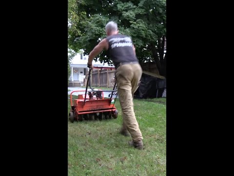 芝生にエアレーションを行う方法とその理由